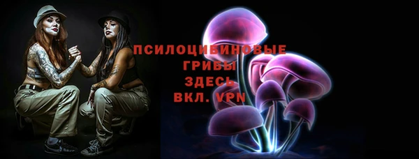 прущие крисы Кулебаки