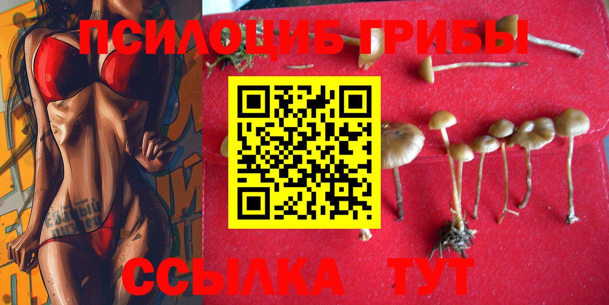 Галлюциногенные грибы Cubensis Елизово