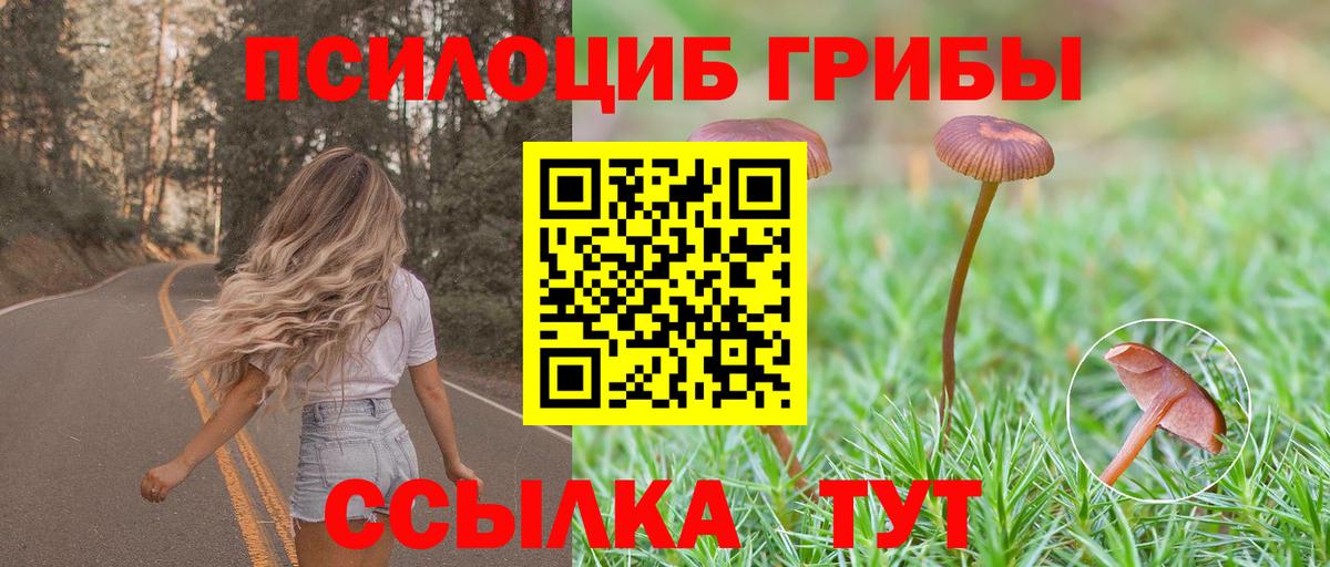 Елизово  Псилоцибиновые грибы Psilocybine cubensis  Вход с VPN 