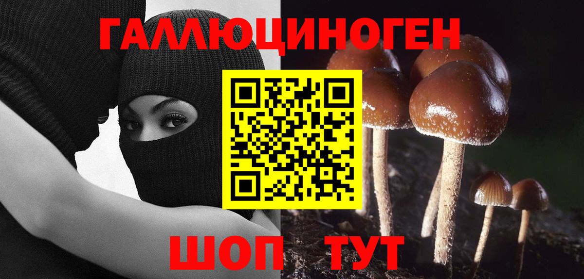 Галлюциногенные грибы мухоморы Елизово